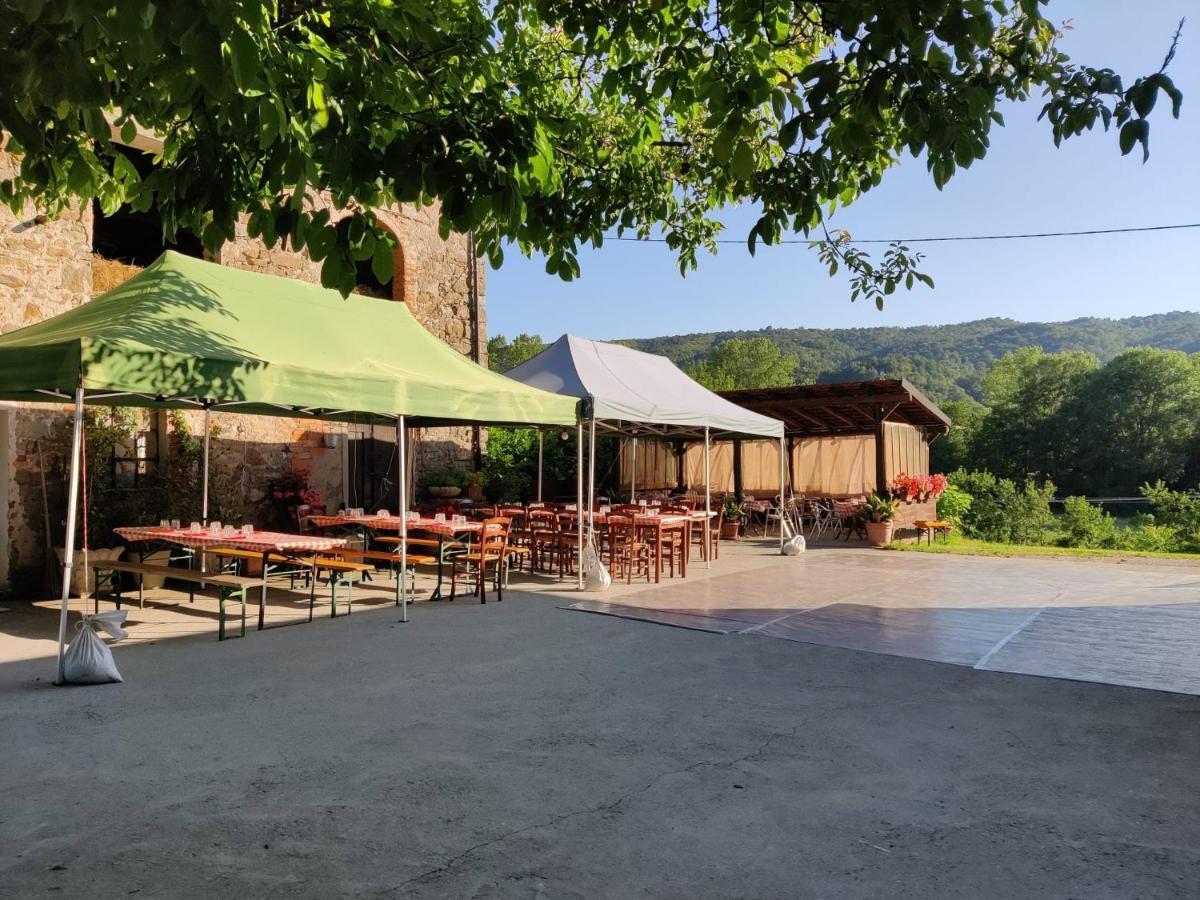 Agriturismo Munarin Caterina Mioglia Eksteriør billede